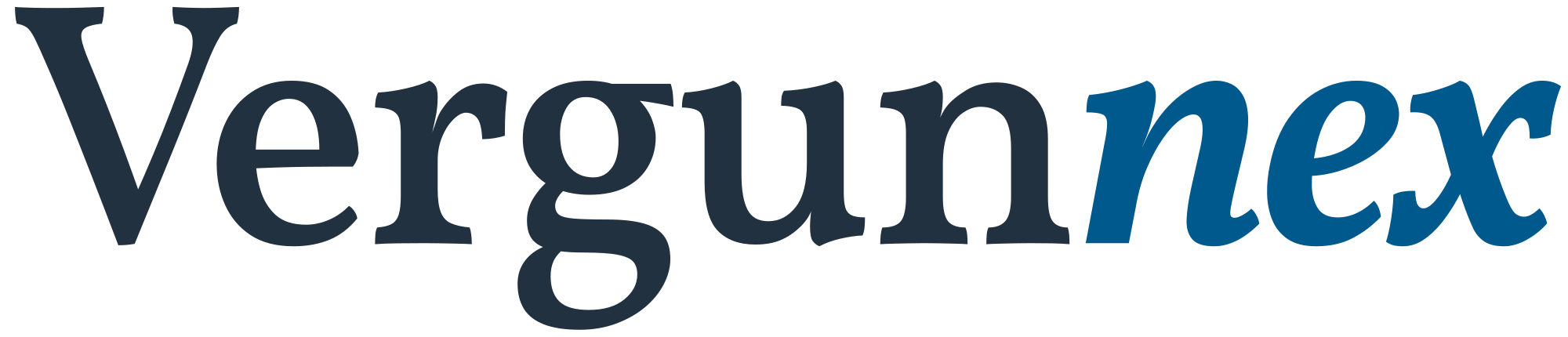 Vergunnex logo